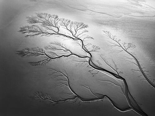 Abstract River Delta Art Print by Edcool