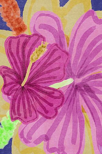 Vibrant Hibiscus Blooms Art Print