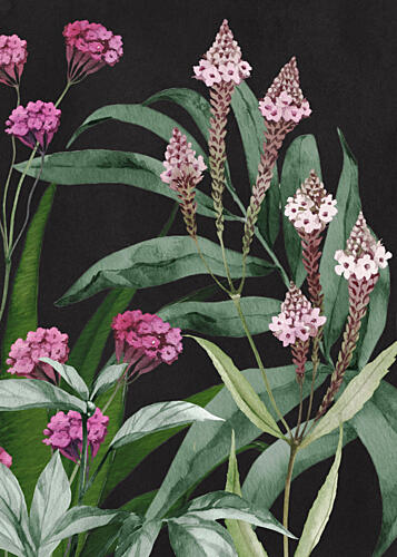 Dark Botanical Bloom Art Print
