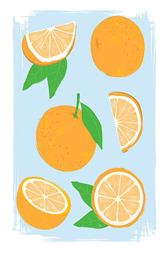 Vibrant Citrus Fruits Art Print