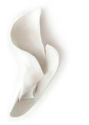 Elegant Floral Sculpture Art Print by Jenja Braun