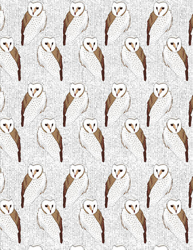 Graceful Barn Owls Art Print