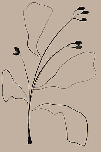 Simply Line Plant Art Print