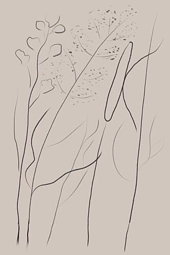 Modern Line Art Plant Art Print