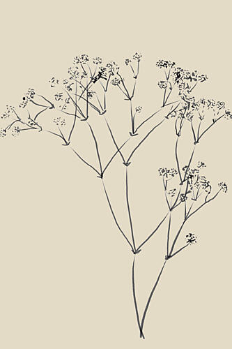 Simple Flowers Art Print
