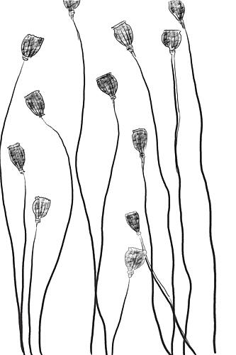 Minimal Line Plant Art Print