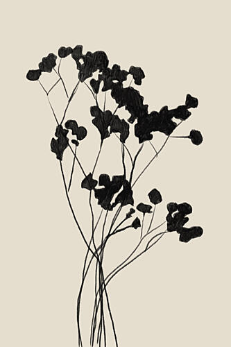 Modern Plant Art Print