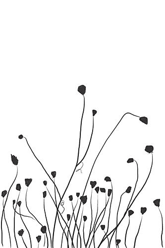 Simply Modern Flowers Art Print