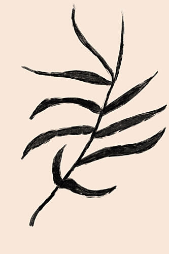 Palm Leaves Art Print