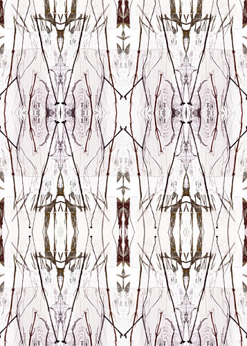 Symmetrical Nature Pattern Art Print