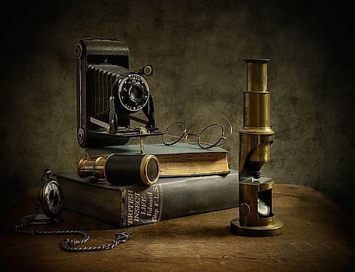 The Entomologist Photography Print