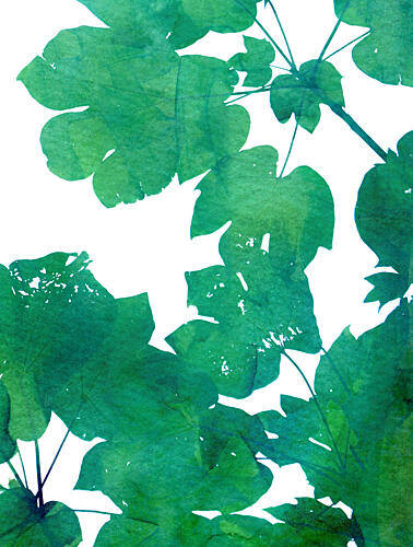 Vibrant Green Leaves Art Print