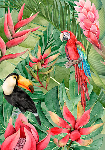 Vibrant Jungle Birds Art Print