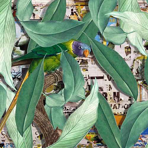 Colorful Parrot Urban Jungle Art Print