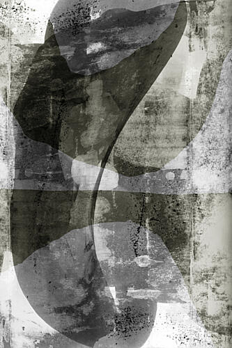 Fluid Monochrome Shapes Art Print