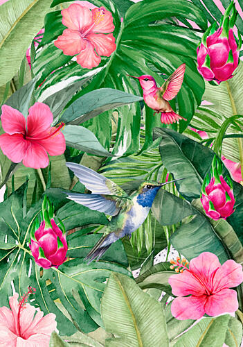Tropical Floral Hummingbirds Art Print