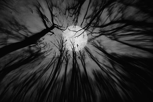 Gothic Forest Moon Art Print