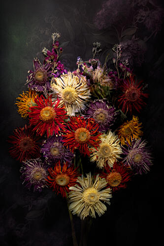 Moody Dried Flowers Art Print by Michelle Newport