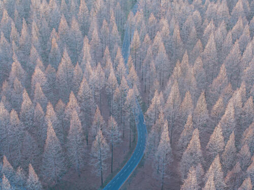 Winding Winter Forest Road Art Print by Edcool