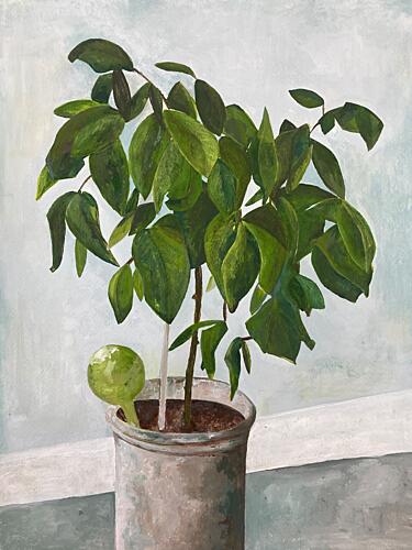 Still Life Potted Plant Art Print