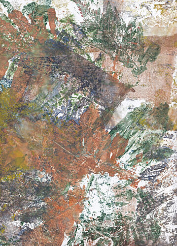 Earthy Leaf Impressions Art Print