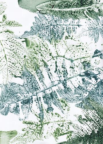 Botanical Fern Impressions Art Print