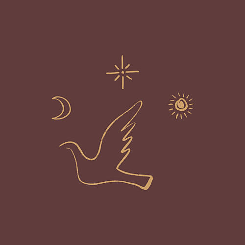 Calmlineno02 Art Print