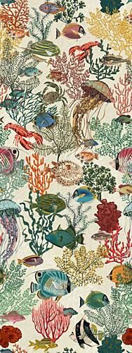 Vibrant Ocean Life Art Print