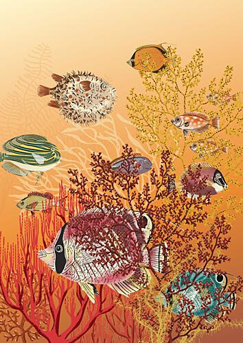 Colorful Coral Reef Art Print