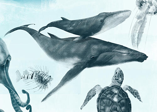 Whales and Ocean Friends Art Print