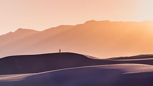 Solitary Dune Journey Art Print