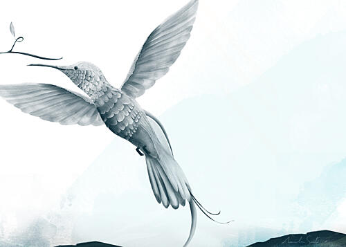 Graceful Hummingbird Flight Art Print