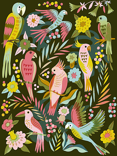 Tropical Birds and Blooms Art Print