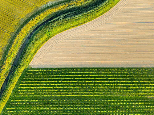 Aerial Farm Patterns Art Print