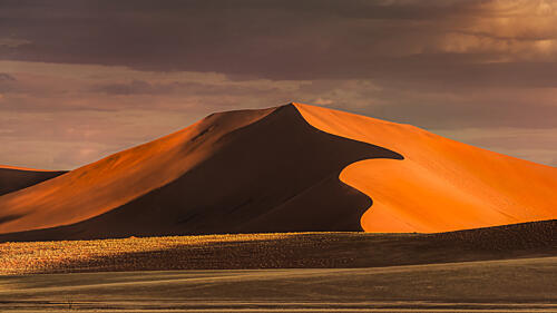 Golden Desert Dune Art Print