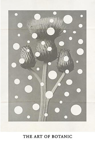 The Art of Botanic No.2 Art Print