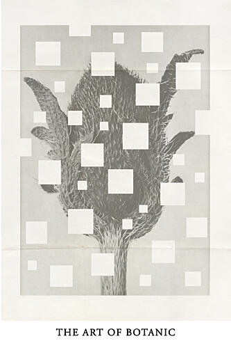The Art of Botanic No.3 Art Print