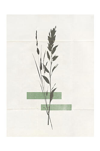 Modern Plants No.3 Art Print