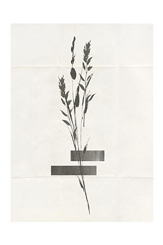 Modern Plants No.4 Art Print