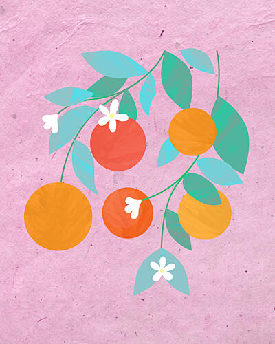 Oranges Bloom Art Print