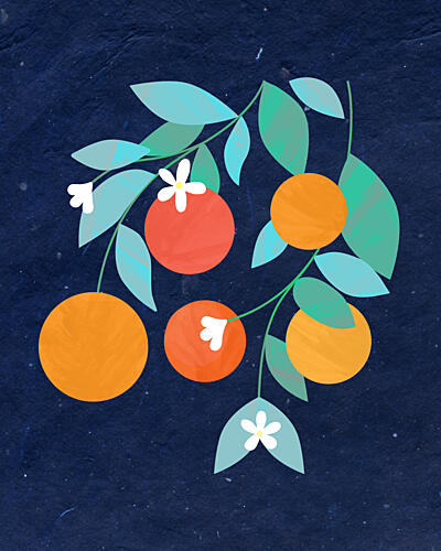 Oranges Bloom Art Print