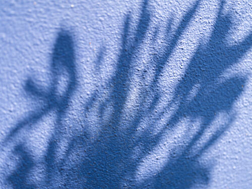 Shade of Blue II Art Print