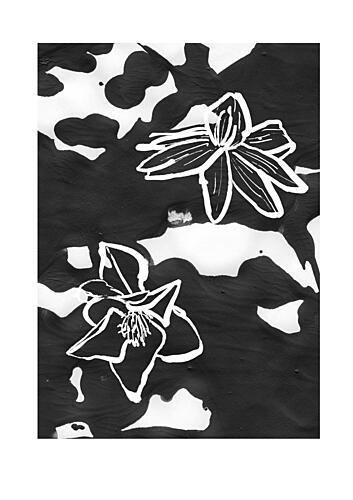 Abstractbotanicsno10 Art Print