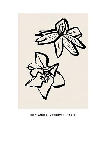Abstractbotanicsno11 Art Print