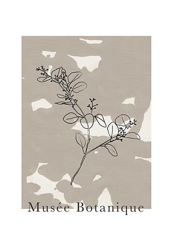 Abstractbotanicsno16 Art Print