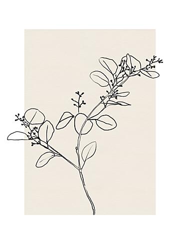 Abstractbotanicsno25 Art Print