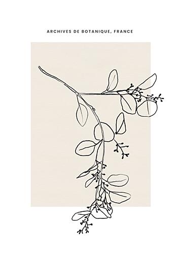 Abstractbotanicsno26 Art Print