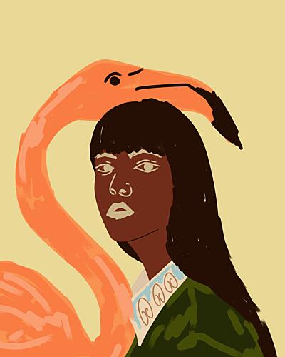 Elegant Flamingo Woman Art Print