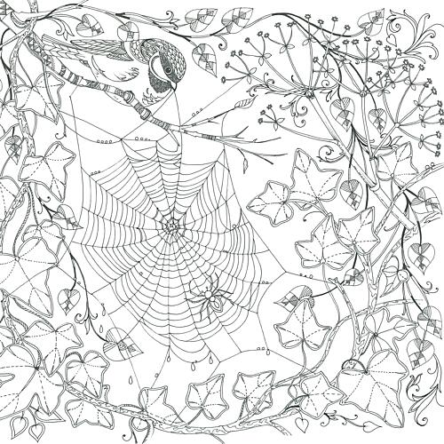 Cobweb Art Print