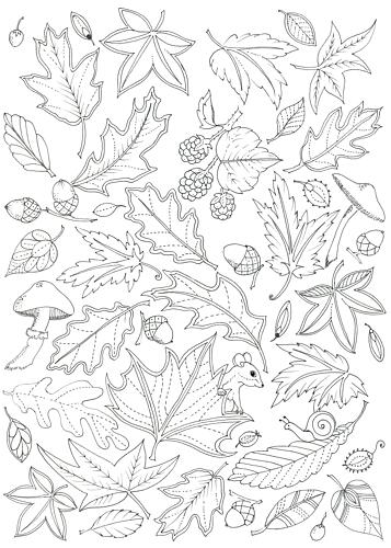 Floating Leaves Art Print